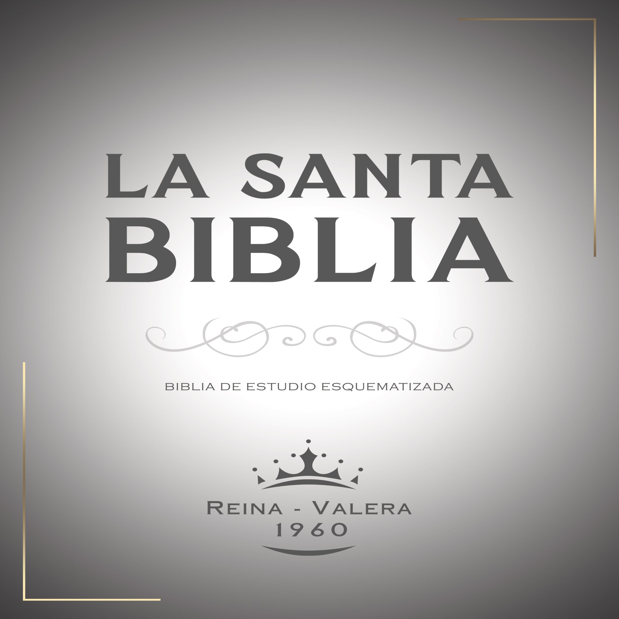 Biblia De Estudio Esquematizada